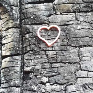 Glowing Sterling Silver Heart by Angelfish Jewellery - Dunedin NZ