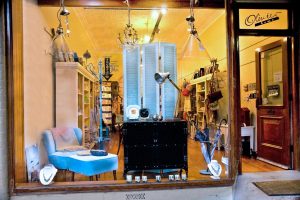 Olivier Home Store - 468 George Street Dunedin - Stockists of Angelfish Jewellery